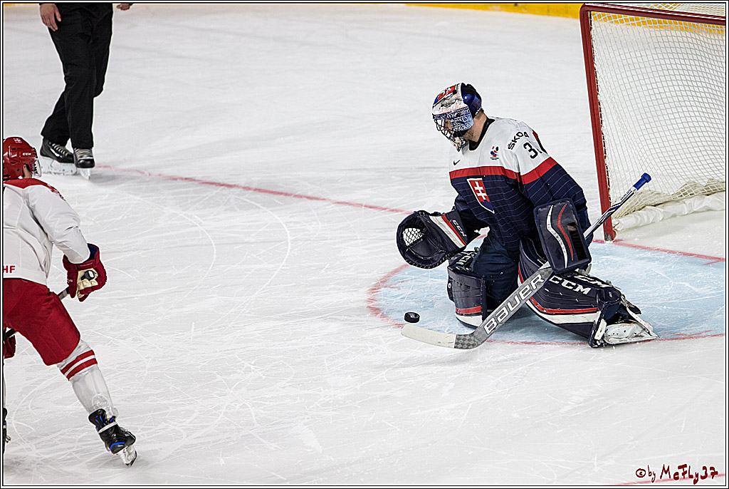 IIHF WM 2017, Slowakei - Daenemark, 09.05.2017